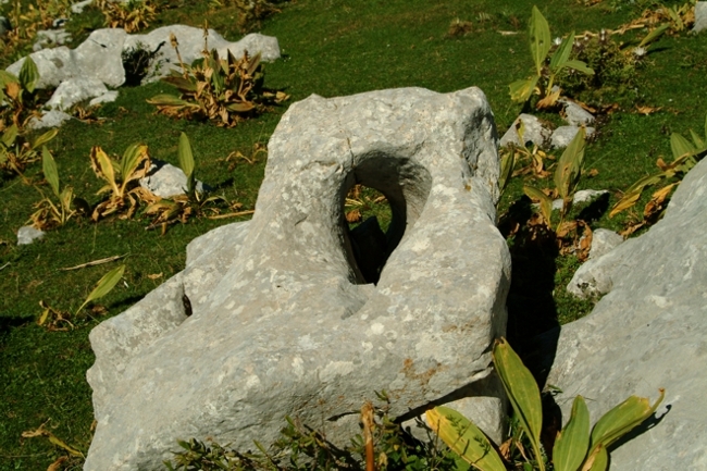 Sculture naturali